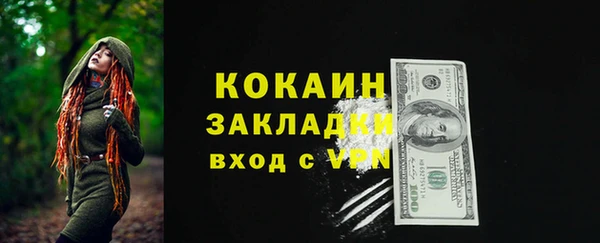 крисы Богородицк