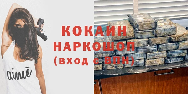 крисы Богородицк