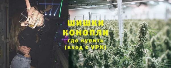 крисы Богородицк