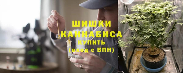 крисы Богородицк