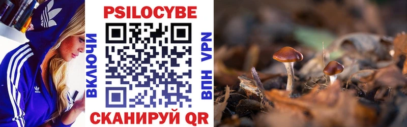 Галлюциногенные грибы Psilocybe  Верещагино 